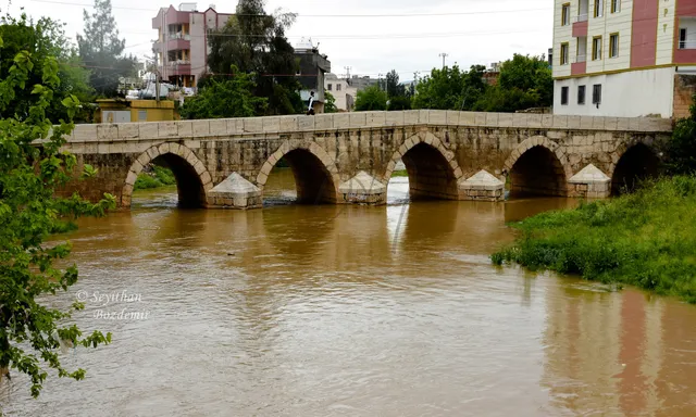 Dunaysır Köprüsü (Taş Köprü)