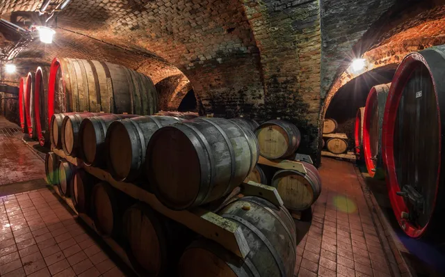 Zámecký sklep A.D. 1430