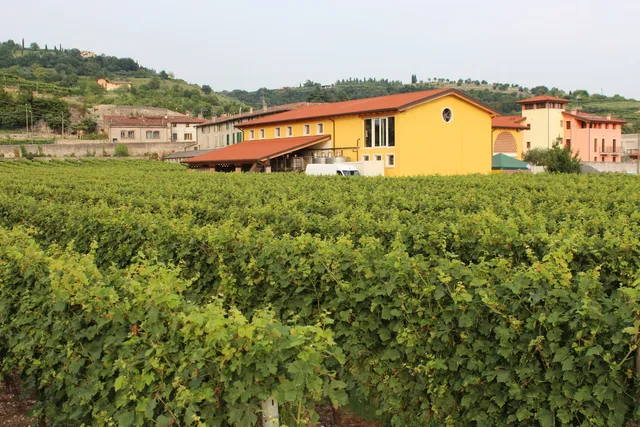 Cantina Monte Cillario