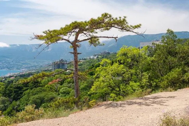 Via ferrata - Rocher de Cornillon