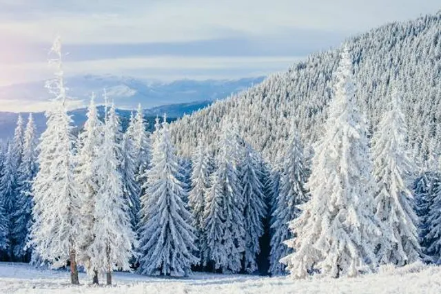 Rozhledna Velký Javorník