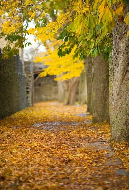 Tourist Trail "Bunker in Konewka"