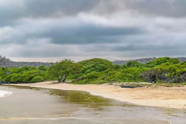 Playa El Garrapatero
