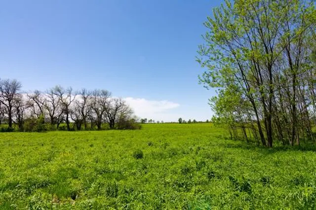 Midewin National Tallgrass Prairie