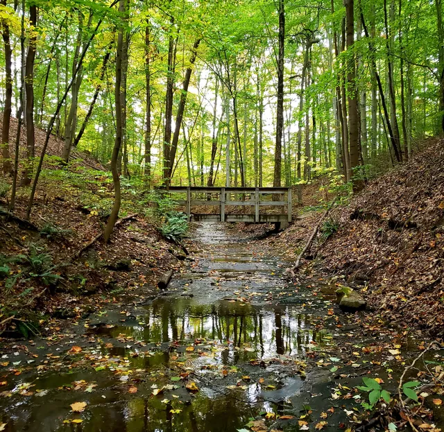 Austintown Township Park