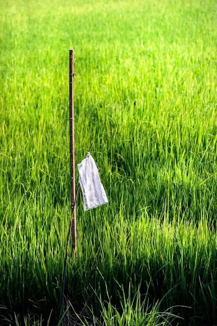 Jardin Botanico Provincial