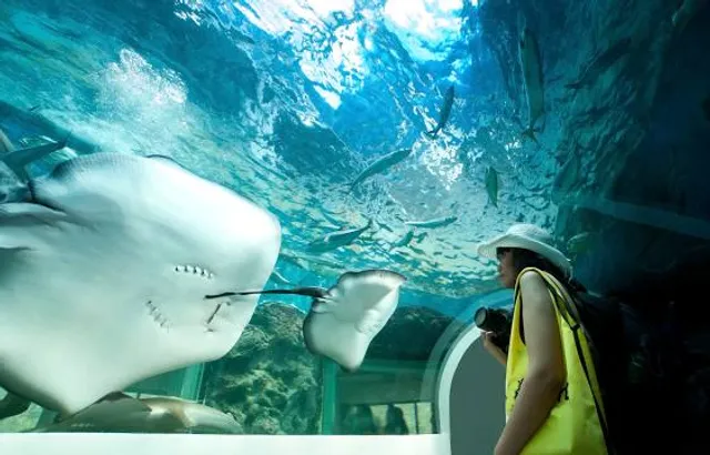 Khung Kraben Bay Aquarium