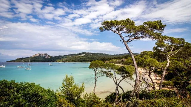 Port-Cros National Park