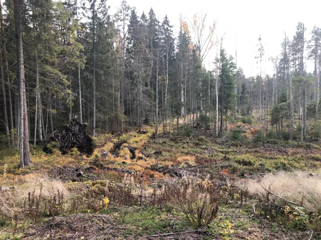 Võsu - Nõmmeveski matkarada