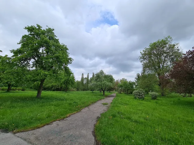 Park Centralny w Bydgoszczy