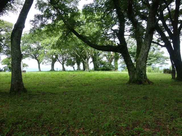 Yamabuki Castle Ruins