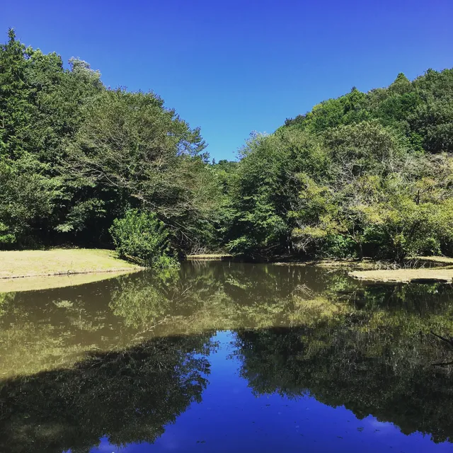 Zama Yatoyama Park
