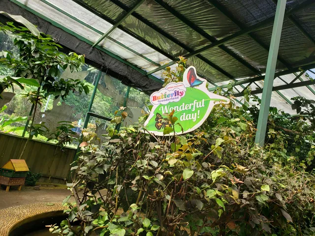 Butterfly Wonderland