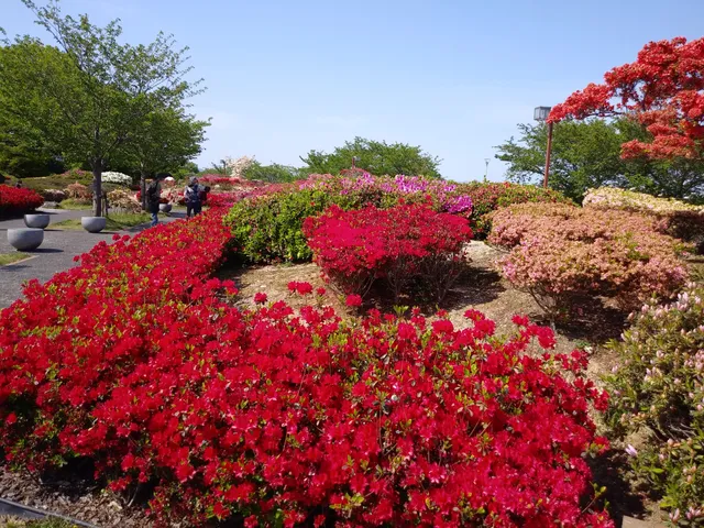 Kurume Hyakunen Park