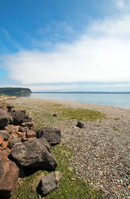 Shine Tidelands State Park