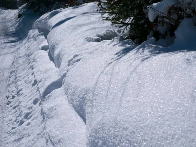 Park Jakubowo/ Olsztyn