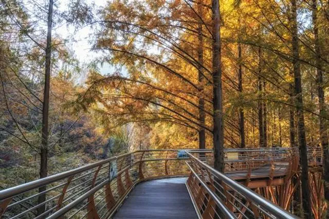 Jangtaesan Recreational Forest