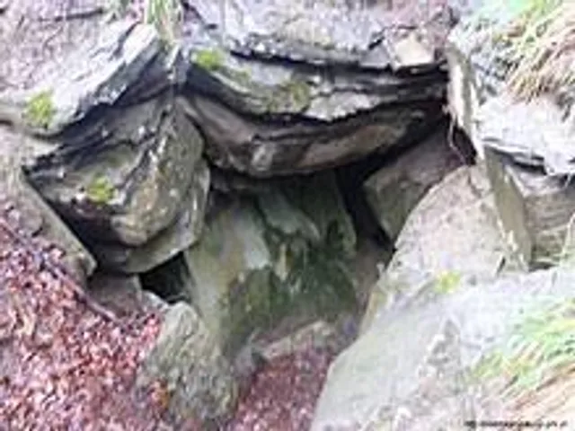 Jaskinia Niedźwiedzia