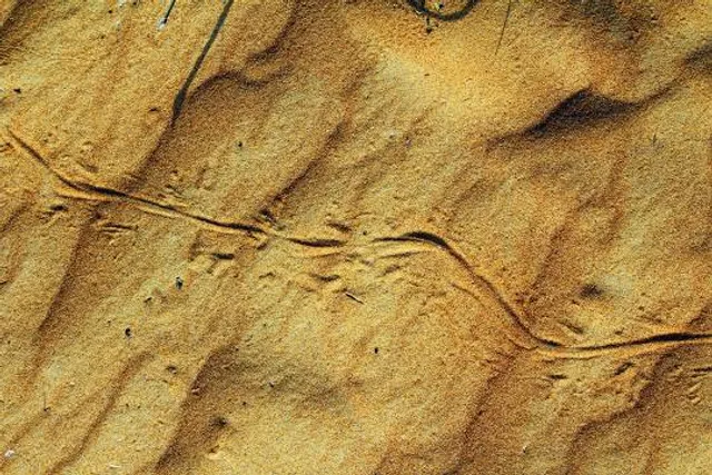 Muzeul Județean de Istorie și Artă Zalău