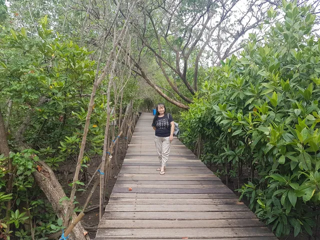 Eco Wisata Mangrove Gunung Anyar