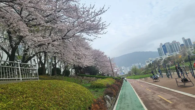 Oncheoncheon Citizens Park