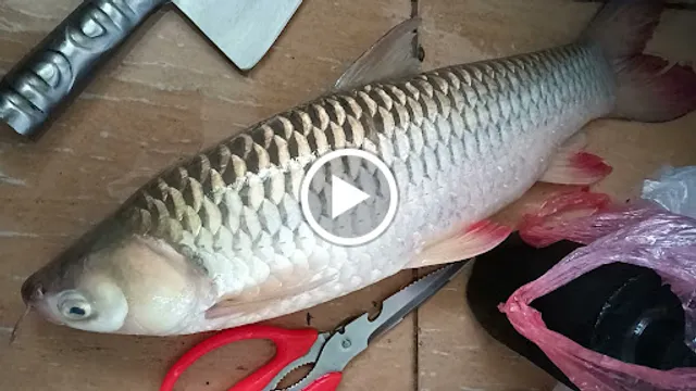 Foong Loy Restaurant