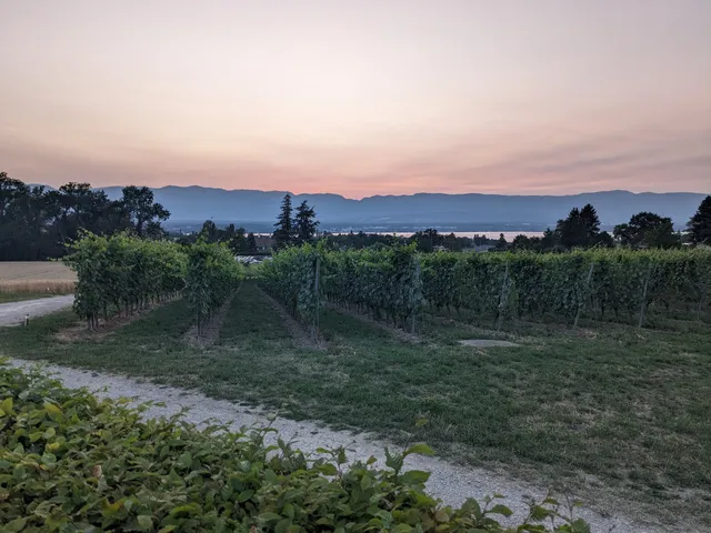 Parc de la Ferme de Saint-Maurice