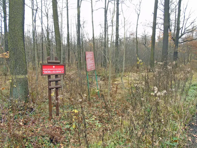 Zespół przyrodniczo-krajobrazowy „Źródła Kłodnicy”