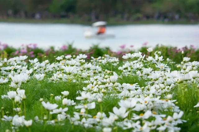 Phalen Regional Park