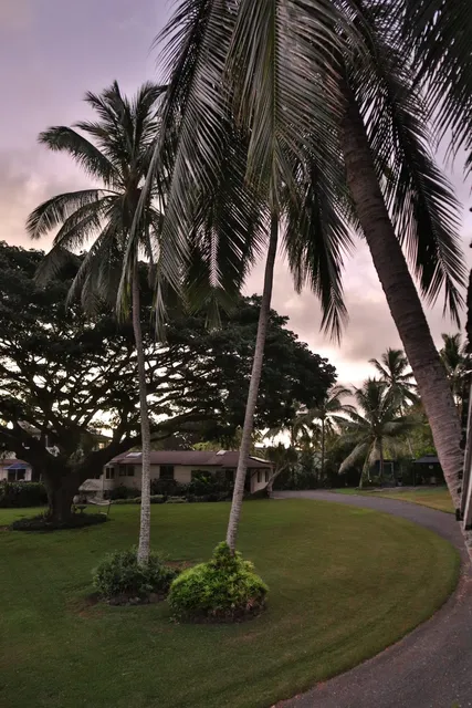 Open Palms Plantation