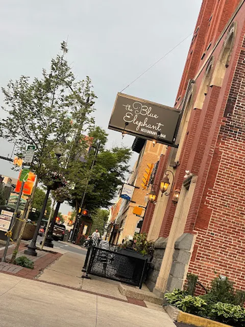 The Blue Elephant Pottstown