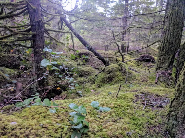 SHADOW Lake Nature Preserve