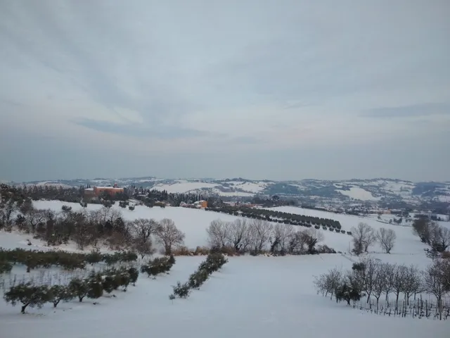 Église et couvent Sainte-Marie-des-Grâces de Senigallia