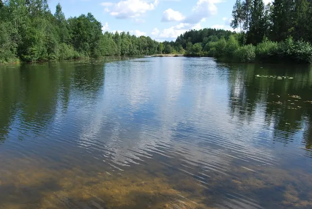 Seljajärv