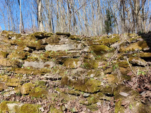 Lyubshanskaya fortress