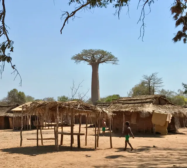 Réserve spéciale d'Andranomena