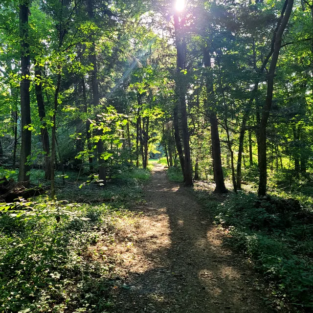 Landis Woods Park & trails