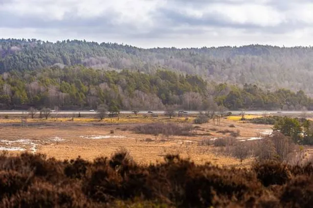 Sandsjöbacka Naturreservat