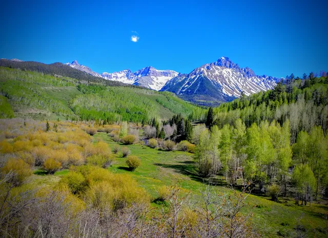 Uncompahgre National Forest
