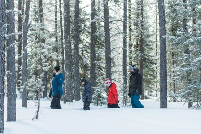 Forêt récréative de Val-d'Or