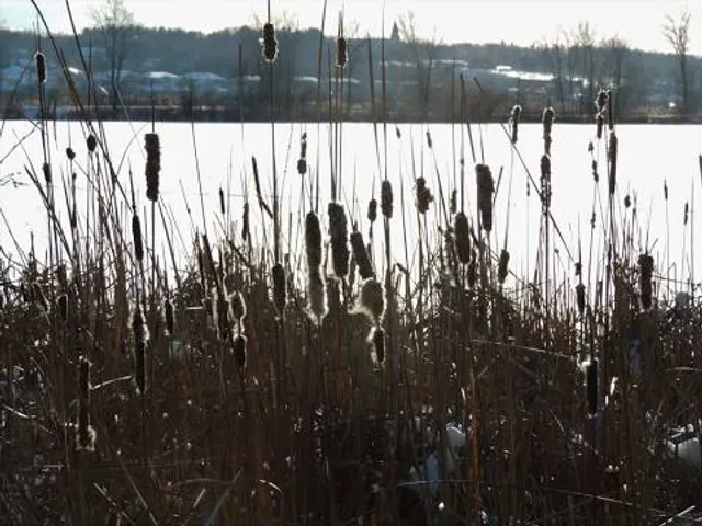 Park Żubra w Złocieńcu
