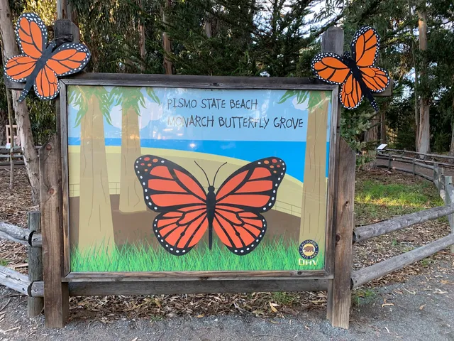 Monarch Butterfly Grove