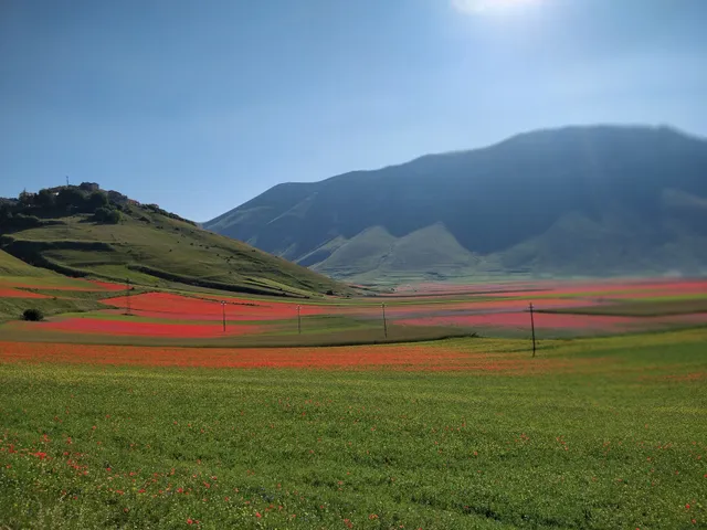 Camere Villa Tardioli