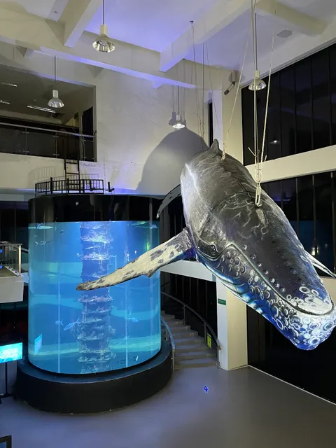 Aquarium Indonesia Pangandaran