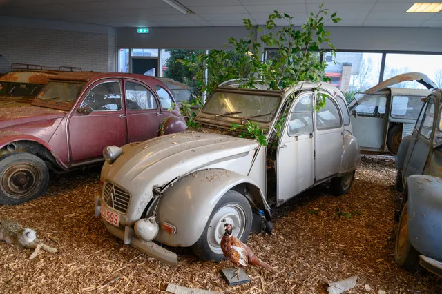 Eenden auto museum