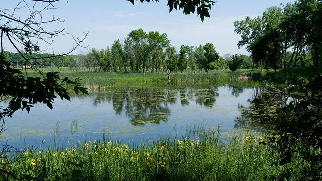 Lockport Prairie Nature Preserve
