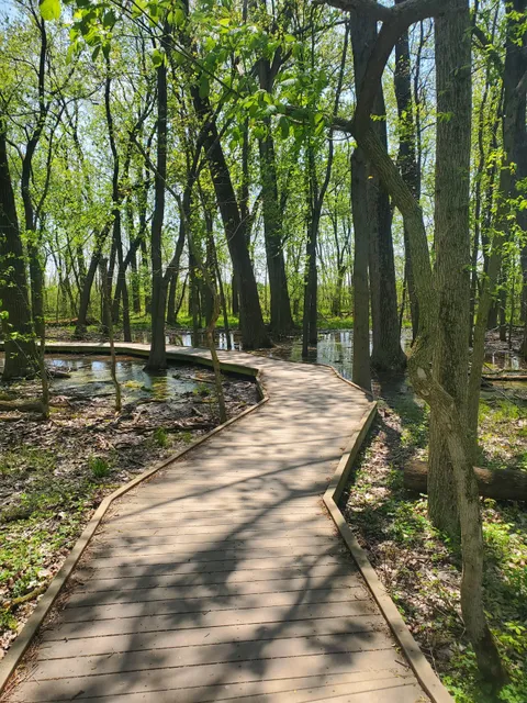 Ritchey Woods Nature Preserve