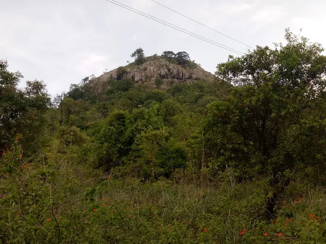 Vellimalai Sivan Temple