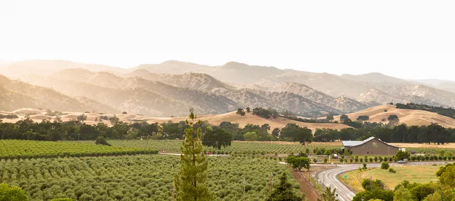 Séka Hills Olive Mill and Tasting Room
