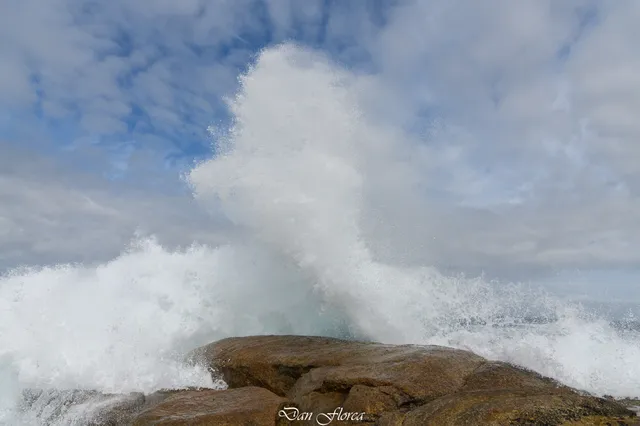 Secadoiro de congrio A Pedriña